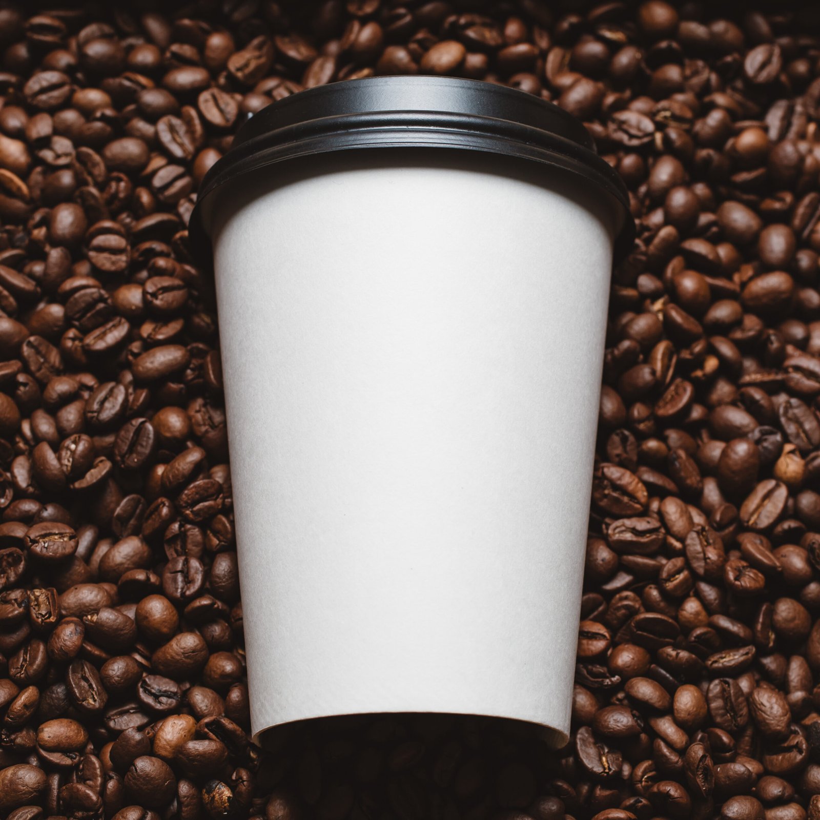 Granos de café con taza blanca